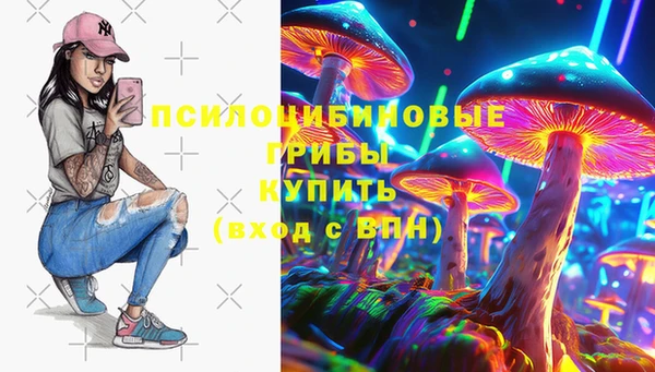 mdpv Арсеньев
