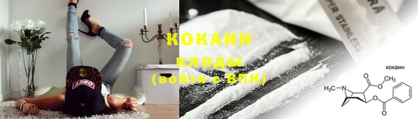 PSILOCYBIN Аркадак