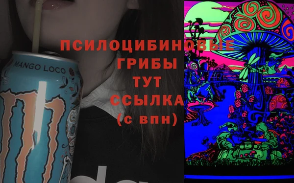 spice Нязепетровск