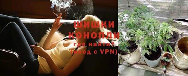 PSILOCYBIN Аркадак