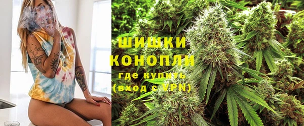 гидропоника Нягань