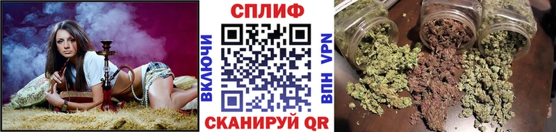 omg tor  как найти наркотики  Олёкминск  Конопля SATIVA & INDICA 